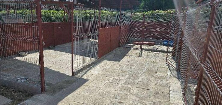 Trwa remont najstarszych kojców w schronisku