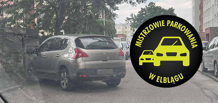 Mistrzowie Parkowania w Elblągu (część 410)