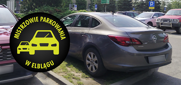 Mistrzowie Parkowania w Elblągu (część 414)