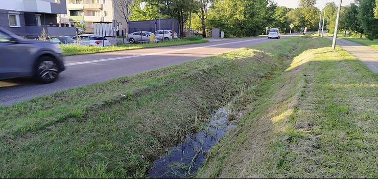 Radna apeluje: Przy ostatnich ulewach rów melioracyjny przy Fromborskiej nie spełnił swojej funkcji