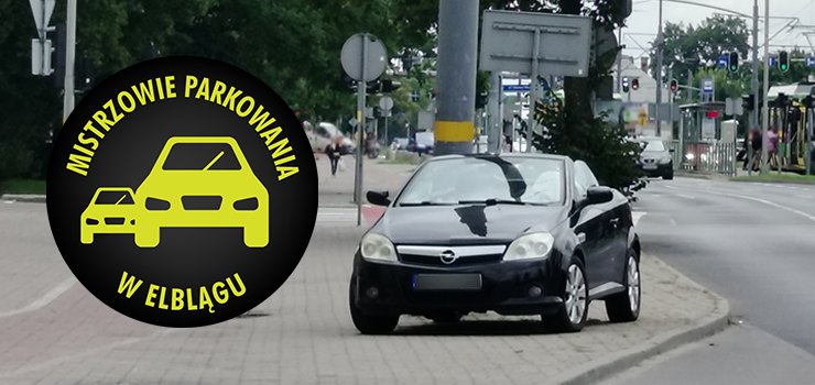 Mistrzowie Parkowania w Elblągu (część 416)