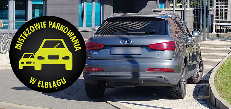 Mistrzowie Parkowania w Elblągu (część 417)