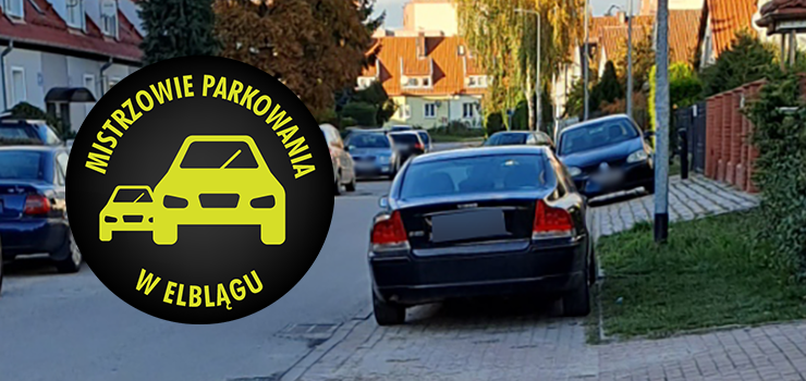 Mistrzowie Parkowania w Elblągu (część 418)