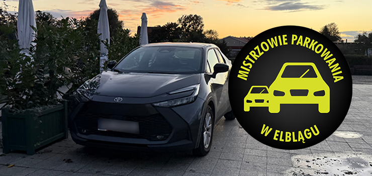 Mistrzowie Parkowania w Elblągu (część 419)