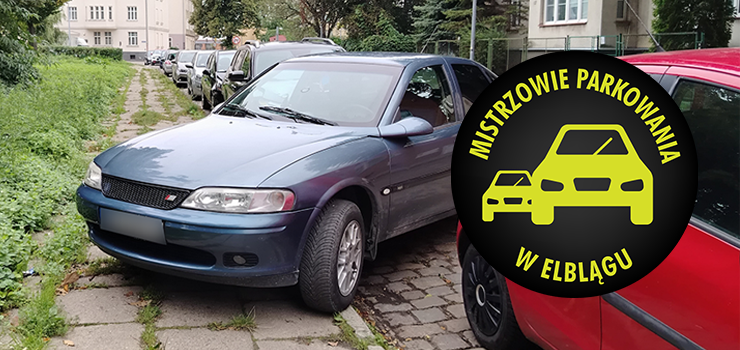 Mistrzowie Parkowania w Elblągu (część 420)