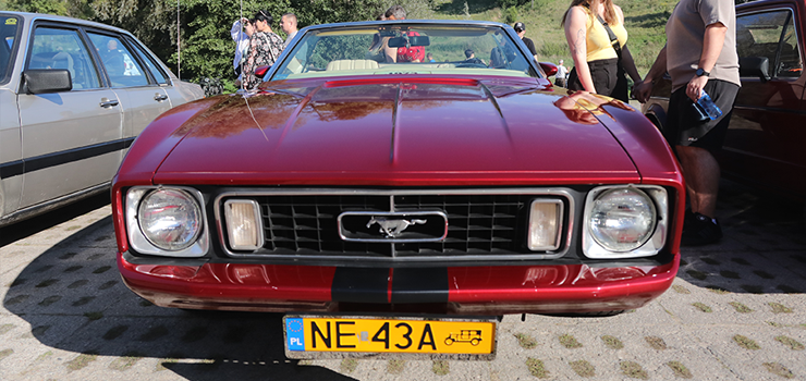 Elbląg: Klasyki motoryzacji znów pod Górą Chrobrego (zdjęcia)