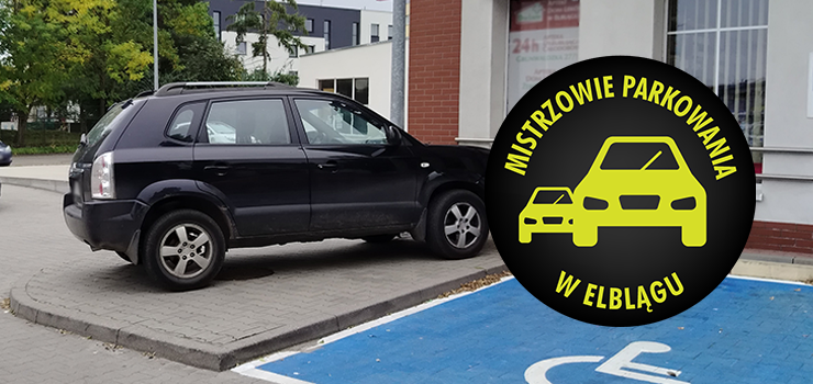 Mistrzowie Parkowania w Elblągu (część 421)