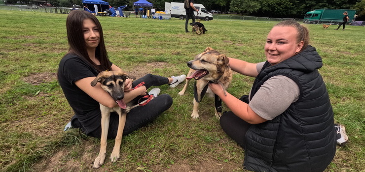 Zapisy na październikowy Bieg na 6 Łap. Zapraszamy