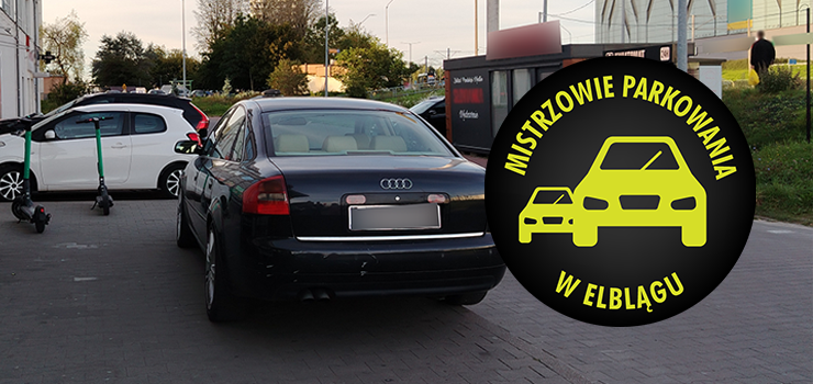 Mistrzowie Parkowania w Elblągu (część 422)