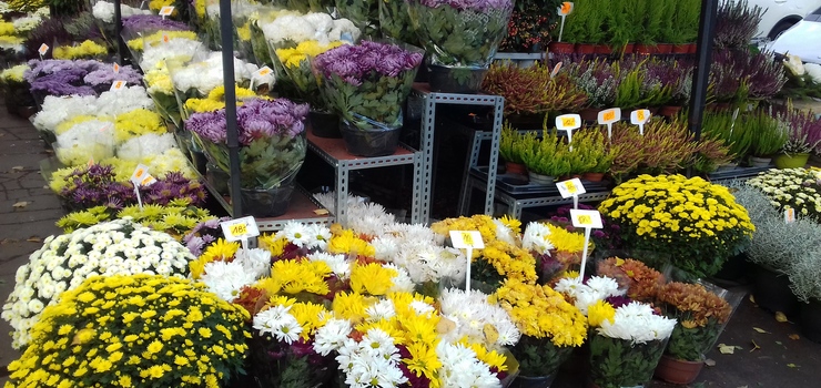 Elbląg szykuje się na Wszystkich Świętych. Przydział miejsc handlowych przy cmentarzach