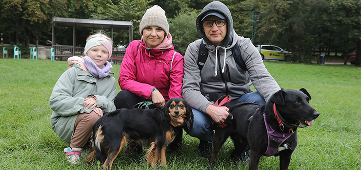 Bieg na 6 Łap w Elblągu. Spacer z czworonogami (zdjęcia)