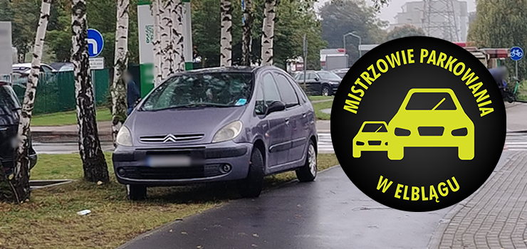 Mistrzowie Parkowania w Elblągu (część 425)