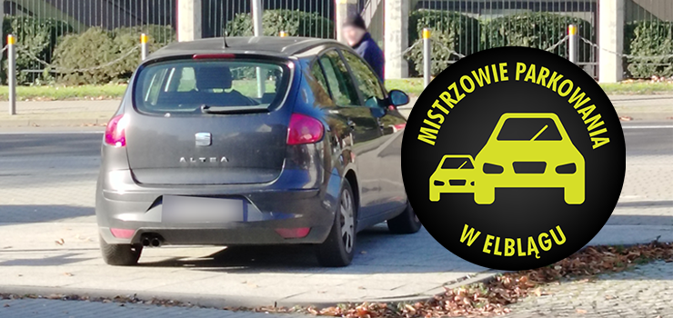 Mistrzowie Parkowania w Elblągu (część 428)