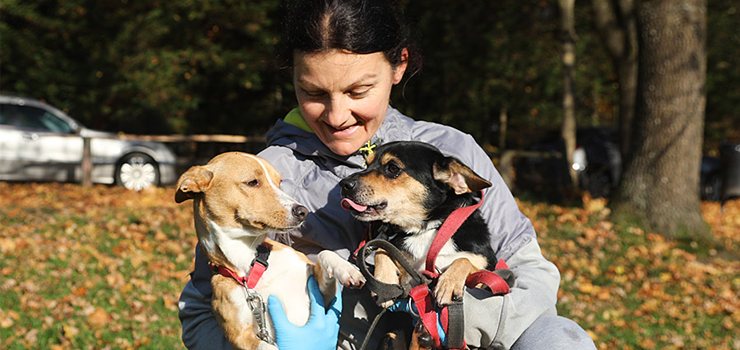 Wolontariusze przemierzyli z czworonogami 5km. Za nami Bieg na 6 Łap