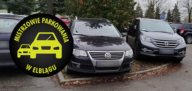 Mistrzowie Parkowania w Elblągu (część 430)