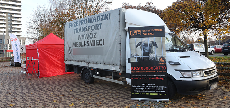 Trwa zbiórka zużytego sprzętu elektrycznego i elektronicznego na rzecz Schroniska