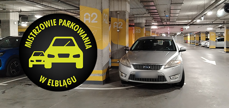 Mistrzowie Parkowania w Elblągu (część 432)