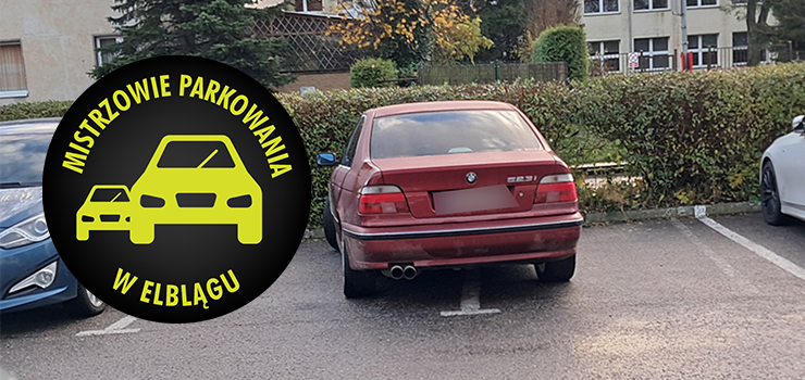 Mistrzowie Parkowania w Elblągu (część 433)