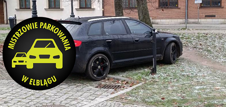 Mistrzowie Parkowania w Elblągu (część 439)