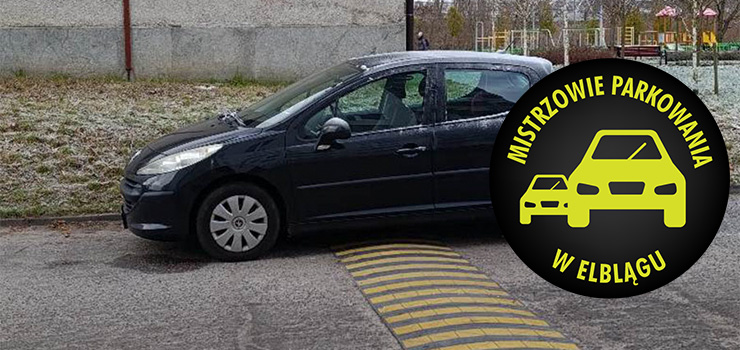 Mistrzowie Parkowania w Elblągu (część 440)
