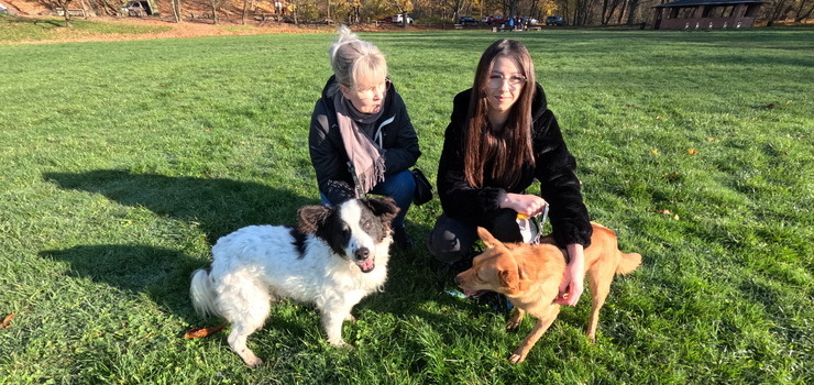 Mikołajkowy prezent dla schroniskowego psa