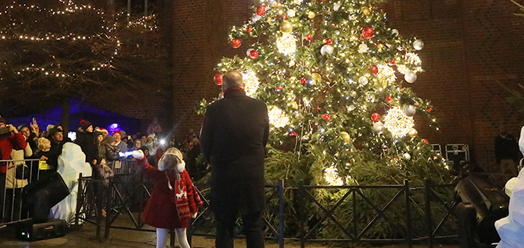 W Elblągu już czuć atmosferę świąt. Dziś rozbłysła choinka na Starym Mieście