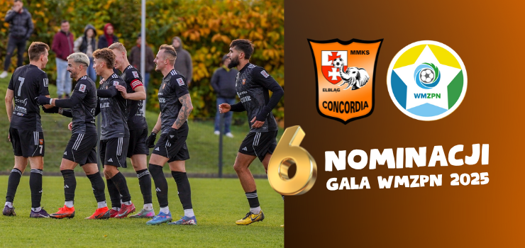 6 nominacji dla Concordii! Zagłosuj na elblążan