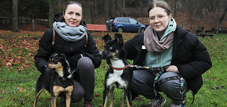 Za nami Mikołajkowy Bieg na 6 łap - zobacz zdjęcia
