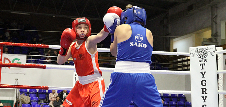 Za nami Mikołajkowy Turniej Tygrysa. Gościem specjalnym Dariusz Michalczewski (zobacz zdjęcia)