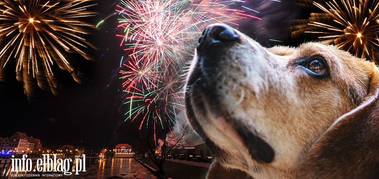 Zakaz fajerwerków i petard w Elblągu? Co na to mieszkańcy? Ankieta INFO