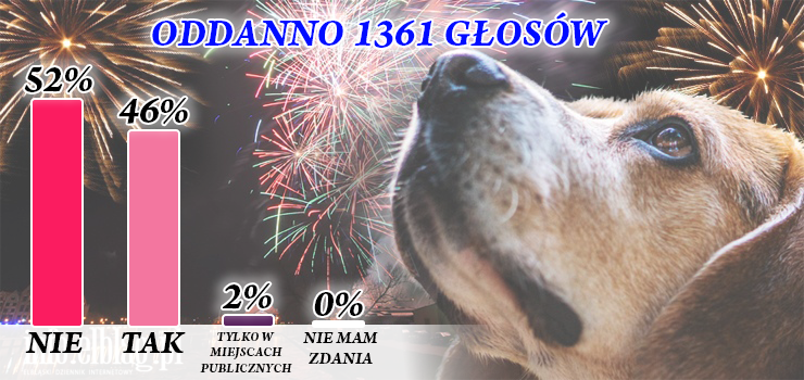 Mieszkańcy Elbląga podzieleni w sprawie zakazu fajerwerków. Wyniki ankiety INFO!