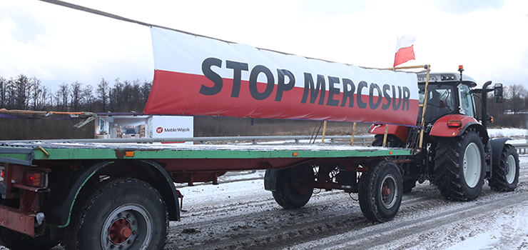 Traktory na wiaduktach nad S7. Protest rolników w Elblągu (zdjęcia)