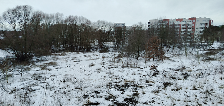 Jedna z droższych działek w Elblągu zmieni się w osiedle? Deweloper czeka na decyzję urzędników