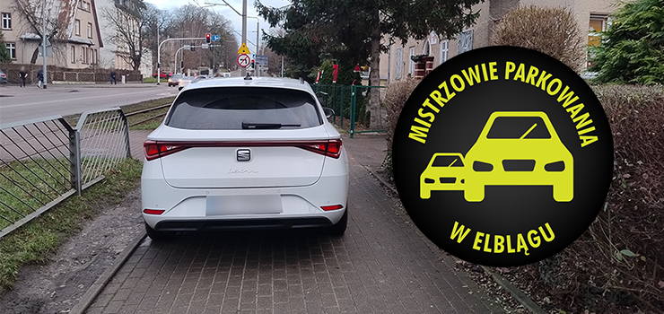 Mistrzowie Parkowania w Elblągu (część 445)