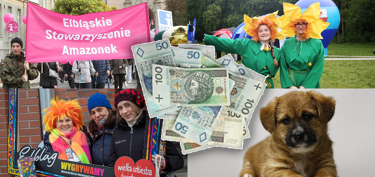 Komu przekażesz swoje 1,5 proc.? Wiceprezydent Elbląga: To bardzo ważne, aby zrobić to świadomie