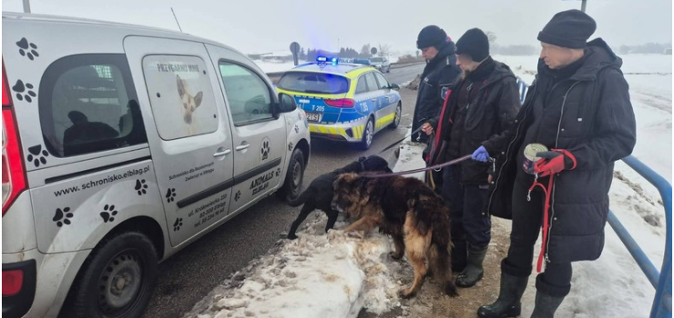 Porzucenie dwóch psów przy drodze k22 w okolicach Jegłownika
