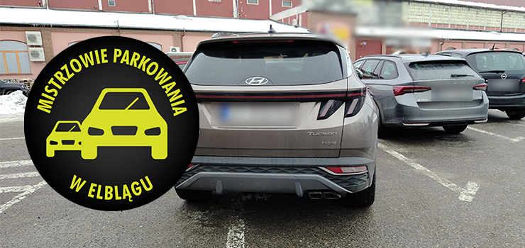 Mistrzowie Parkowania w Elblągu (część 448)
