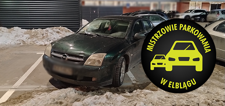 Mistrzowie Parkowania w Elblągu (część 449)