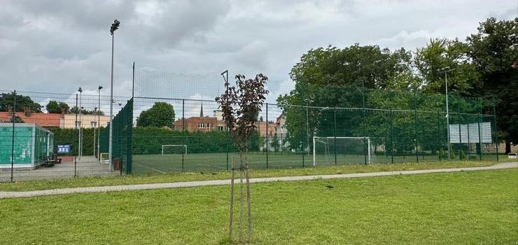 Modernizacja Orlika przy SP nr 4. Miasto szuka wykonawcy