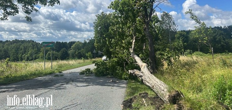 Wichura uderzyła w region. Powalone drzewa, uszkodzone auta i dziesiątki interwencji