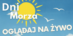 Artykuł