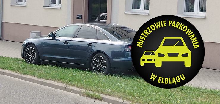 Mistrzowie Parkowania w Elblągu (część 490)