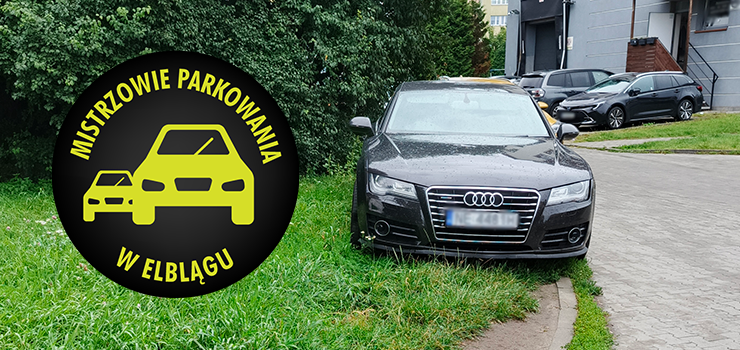 Mistrzowie Parkowania w Elblągu (część 504)