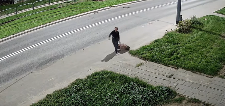 Martwego psa w walizce wyrzuciła na śmietnik. Policja zna już tożsamość kobiety z nagrania