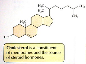 Co zrobi, eby obniy poziom zego cholesterolu