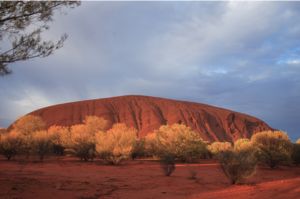 Fotogramy z podry po Australii i Nowej Zelandii