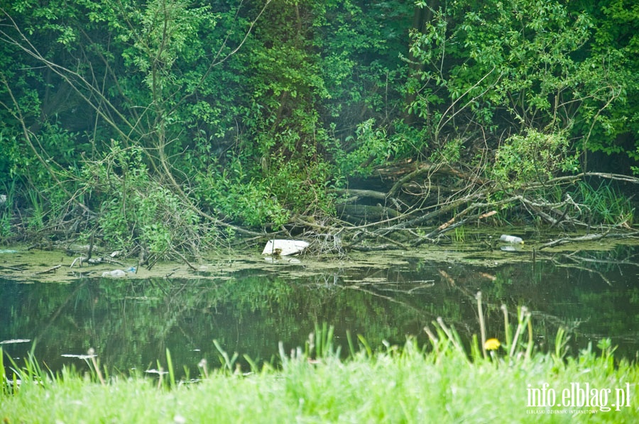 Kana miejski przy ul. Grochowskiej, fot. 9