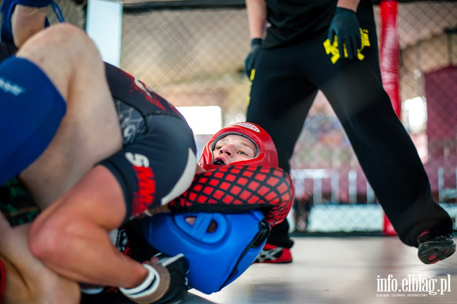 Puchar Polski Pnocnej Amatorskiego MMA w Elblgu , fot. 10