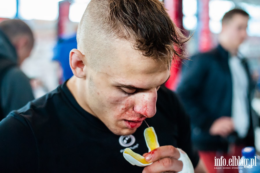 Puchar Polski Pnocnej Amatorskiego MMA w Elblgu , fot. 30