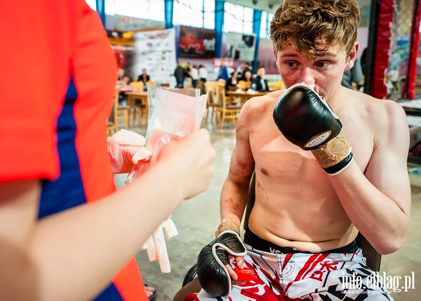 Puchar Polski Pnocnej Amatorskiego MMA w Elblgu , fot. 50